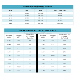 Noraml Peak Flow Chart gratis en premium templates