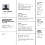 template preview imageCreative Resume Writer