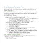 template preview imageSmall Business Marketing Plan for Startups