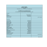 Profit and Loss xls spreadsheet template gratis en premium templates