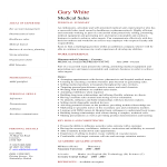 template topic preview image Medical Sales Representative CV