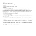 template topic preview image Business Executive Resume example