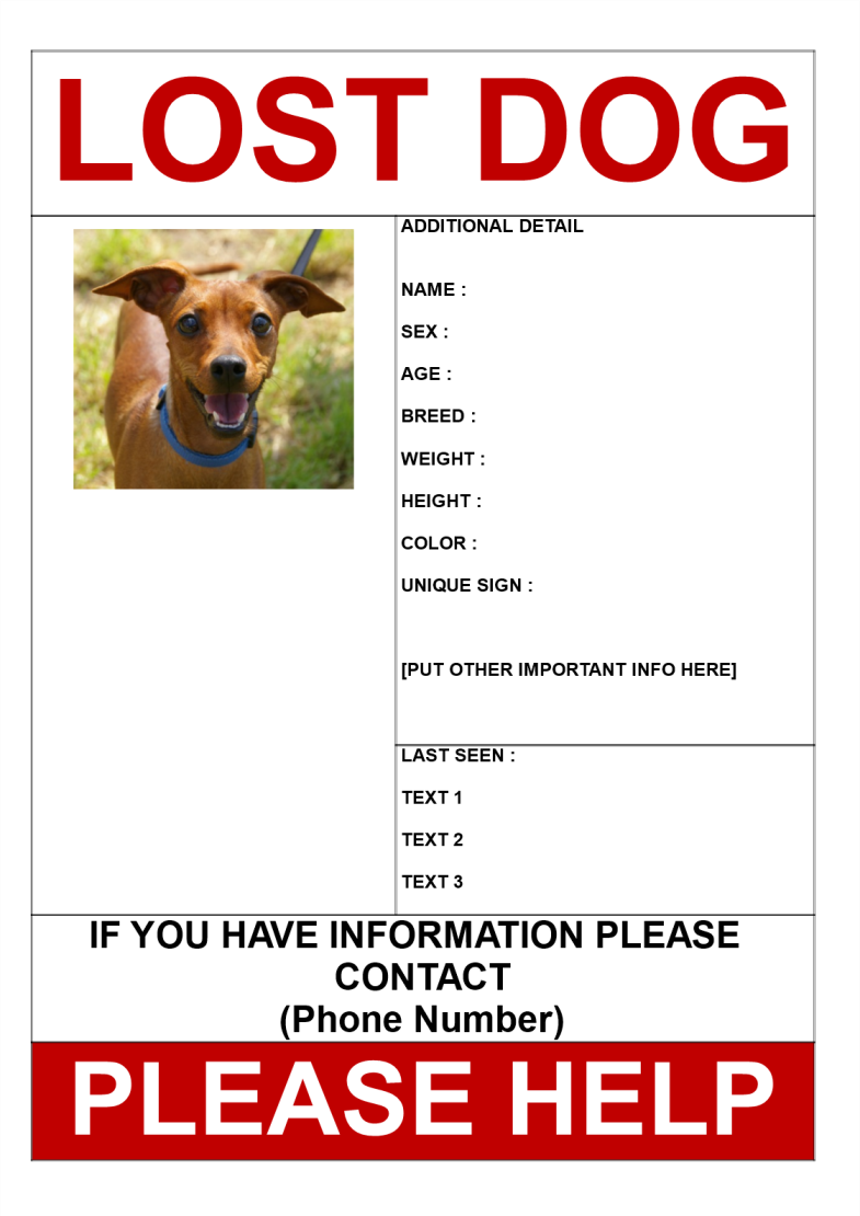 template topic preview image Find my Dog Poster Example