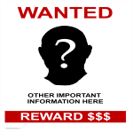 template topic preview image Wanted Person Poster A3 Size