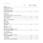 Balance Sheet Formula in Excel gratis en premium templates