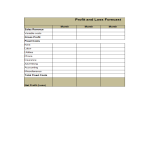 Profit and Loss sheet in excel gratis en premium templates