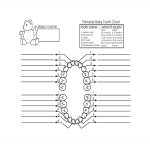 template topic preview image Baby Milk Teeth Chart