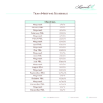 Team Meeting Schedule gratis en premium templates