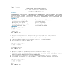 template topic preview image Account Sales Executive Resume