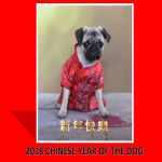 Chinese New Year Dog Presentation gratis en premium templates