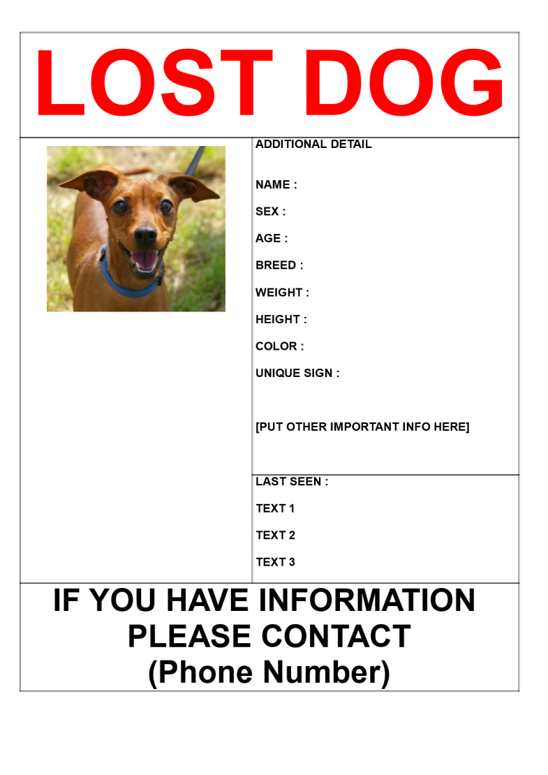 Find missing dog poster templates.  Business templates, contracts In Missing Dog Flyer Template