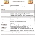 Herb Companion Planting Chart gratis en premium templates