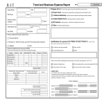template preview imageBusiness Travel Expense Report