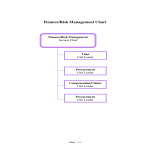 template topic preview image Finance Risk Management Chart