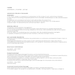 template topic preview image Assistant IT Project Manager Resume