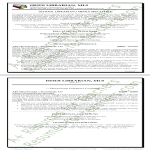 template topic preview image School Librarian & Media Specialist Resume
