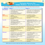 template topic preview image Baby Meal Plan