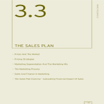 template topic preview image Monthly Sales Plan Format