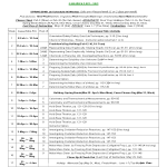 Weekly Lab Schedule Excel gratis en premium templates