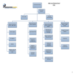 Organizational Hierarchy gratis en premium templates