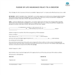 template topic preview image Pledge Of Life Insurance Policy To A Creditor