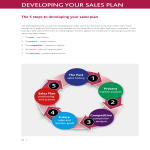 It Sales Developing Plan gratis en premium templates