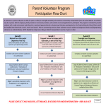 template topic preview image Volunteer Program Flow Chart