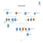 template preview imageGenogram Example