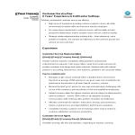 template topic preview image Sales Customer Service Representative Resume