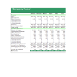 Vorschaubild der VorlageProfit and loss statement for small business