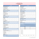 Balance Sheet Template of a company gratis en premium templates