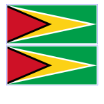 Printable guyana flag | Business templates, contracts and forms.