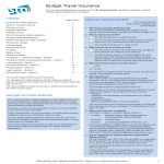 template topic preview image Budget For Travel Insurance