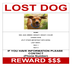 template topic preview image Missing Dog Poster with reward A3 size