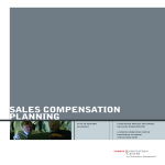 It Sales Compensation Plan gratis en premium templates