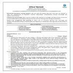 template preview imageHead of Sales Resume