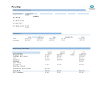 template topic preview image Sample Payslip