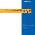 Organizational Structure Analysis gratis en premium templates