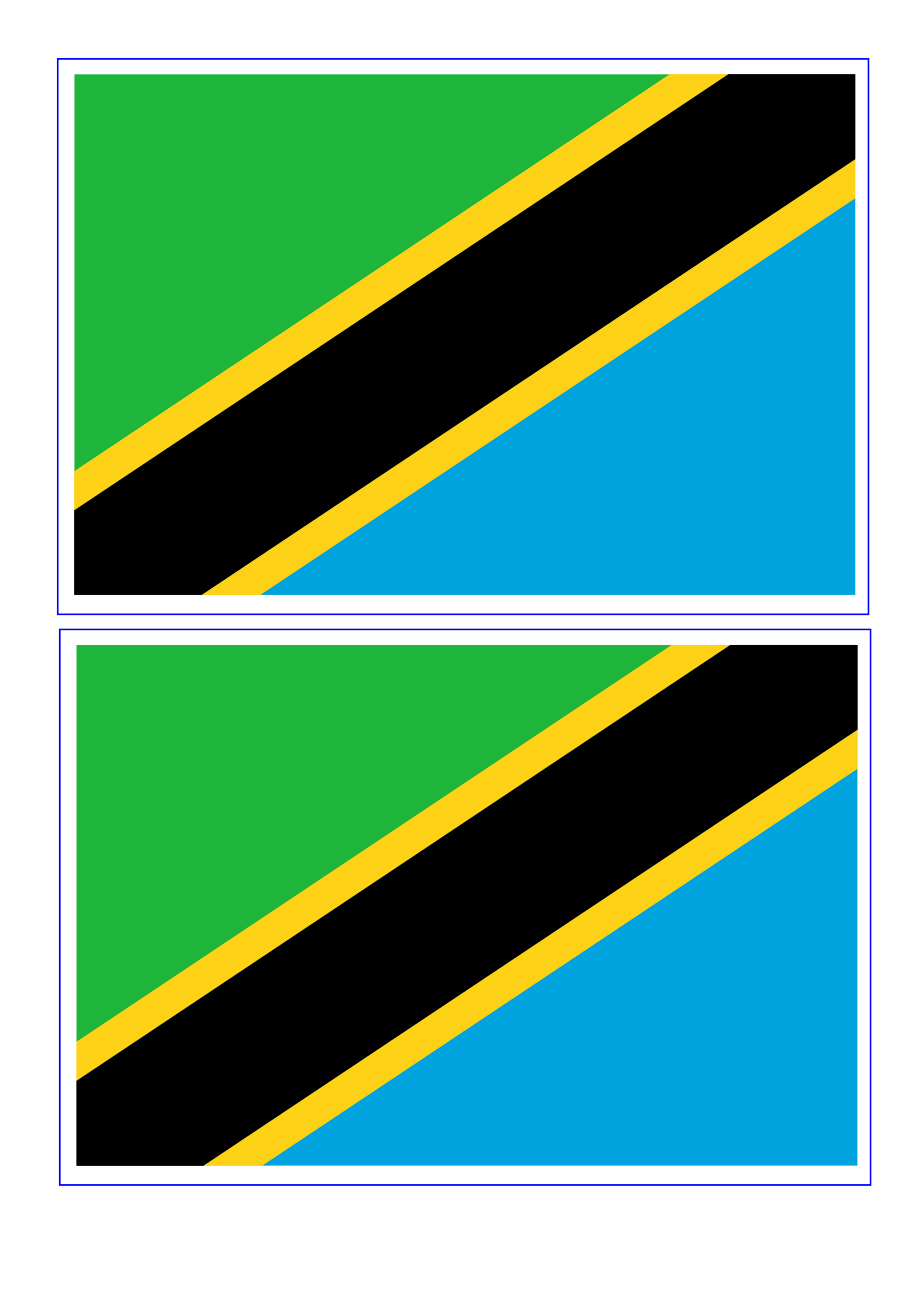 template preview imageTanzania Flag