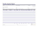 template topic preview image Monthly Expense report example