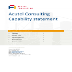 Consulting Capability Statement gratis en premium templates