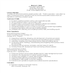 template topic preview image Entry Level Business Analyst IT Resume