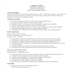 Entry Level Business Analyst IT Resume gratis en premium templates