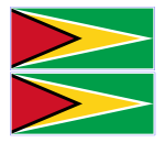 Guyana Flag gratis en premium templates