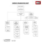 Company Hierarchy Chart gratis en premium templates