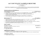 Accountant Curriculum Vitae example gratis en premium templates