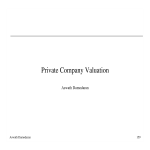 Private Company Valuation Examle gratis en premium templates