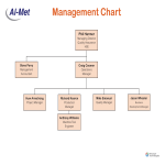 Management Chart gratis en premium templates