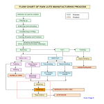 Manufacturing Process Flow Chart gratis en premium templates