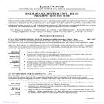 template preview imageRetail Executive Resume Example